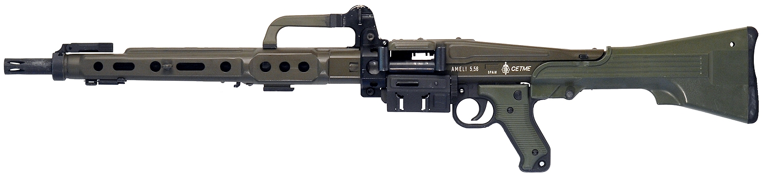 Ameli